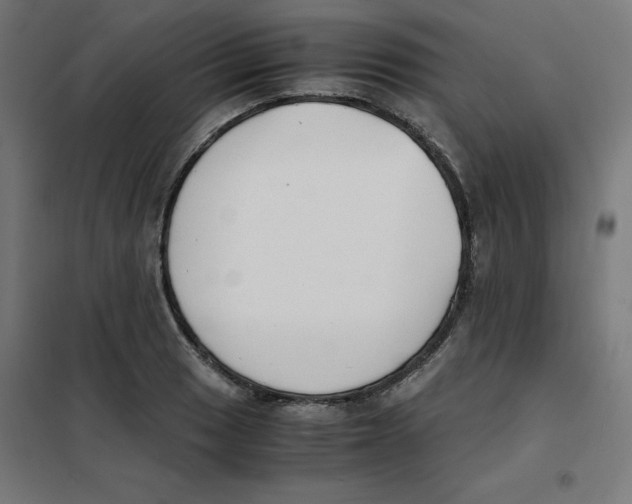X0000101661033200808071016