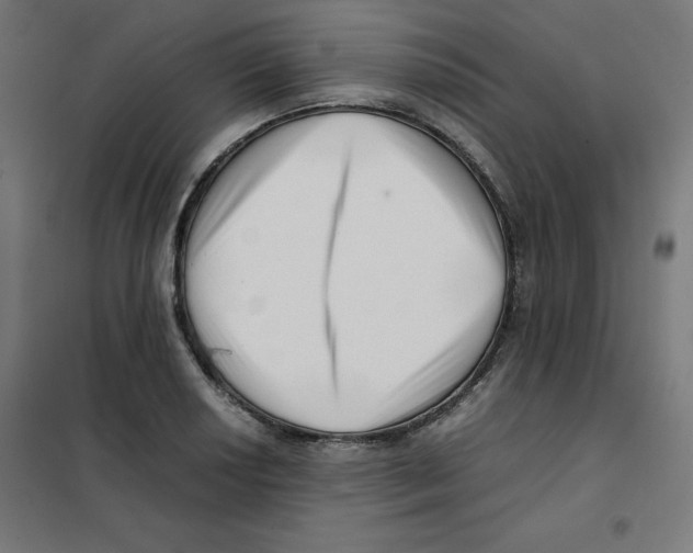 X0000101661034200808071016