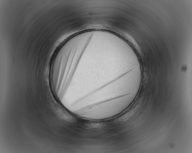 X0000101661035200808071016