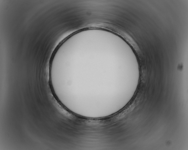 X0000101661036200808071016