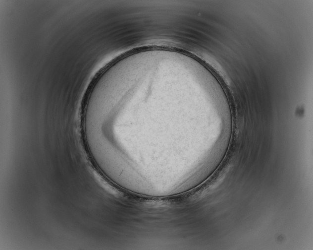 X0000101661037200808071016
