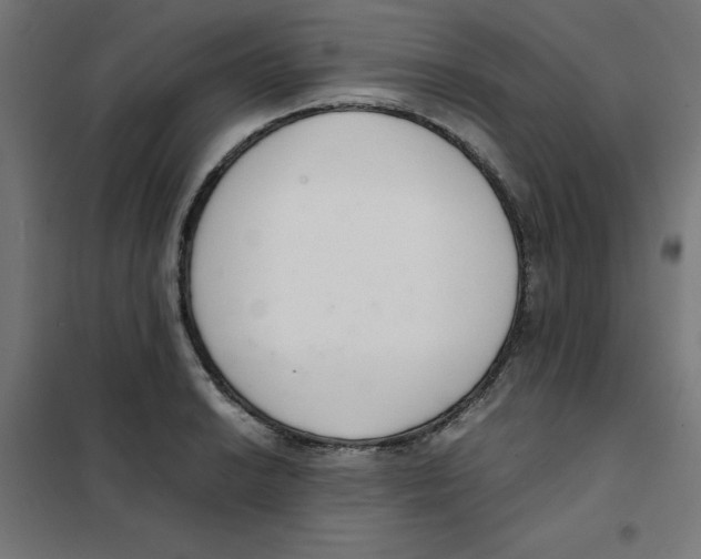 X0000101661038200808071016