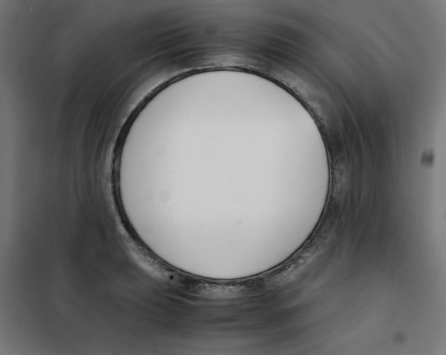 X0000101661039200808071016