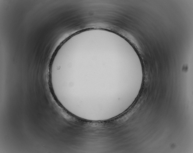X0000101661040200808071016
