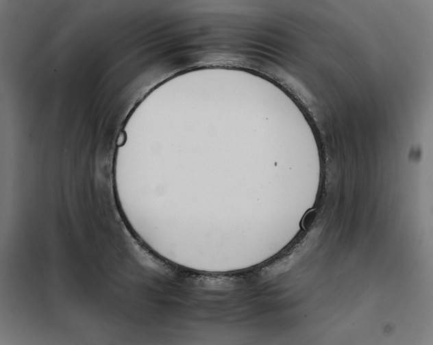 X0000101661041200808071016