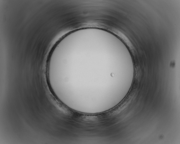 X0000101661043200808071016