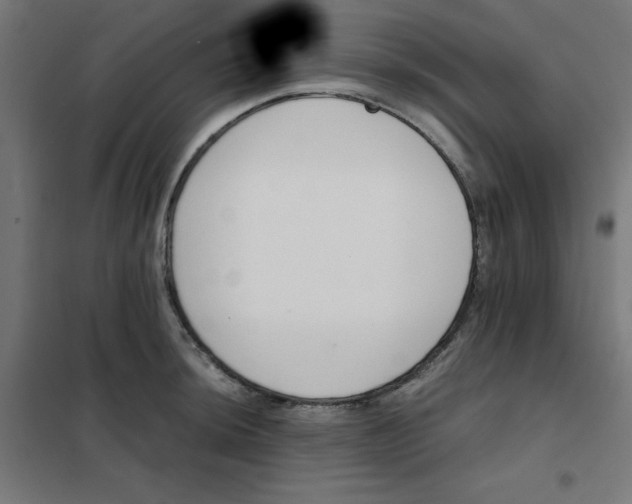 X0000101661044200808071016