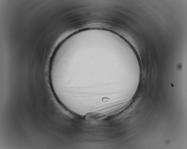X0000101661045200808071016