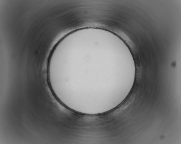 X0000101661046200808071016