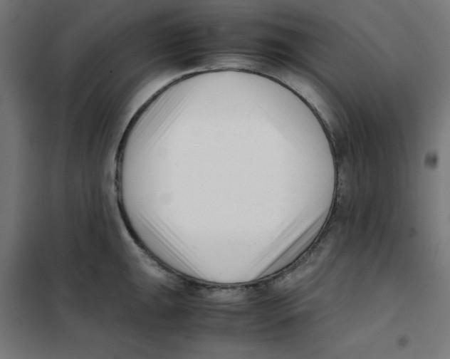 X0000101661047200808071016