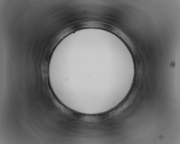 X0000101661049200808071016