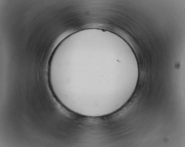 X0000101661050200808071016