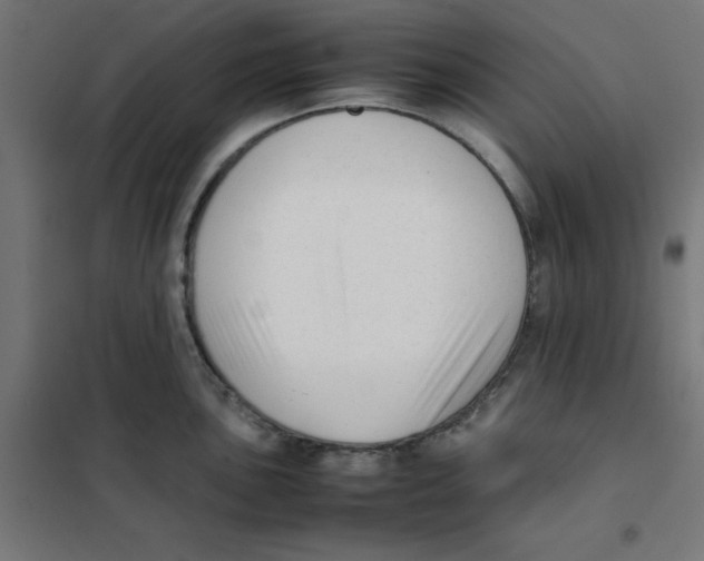 X0000101661051200808071016