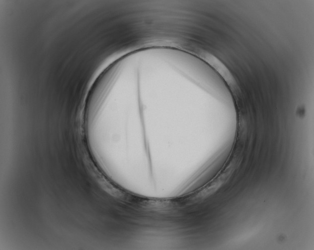X0000101661052200808071016