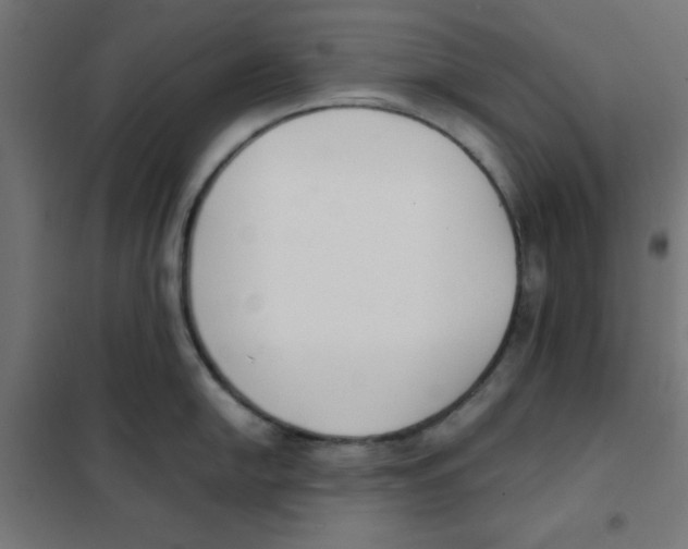 X0000101661054200808071016