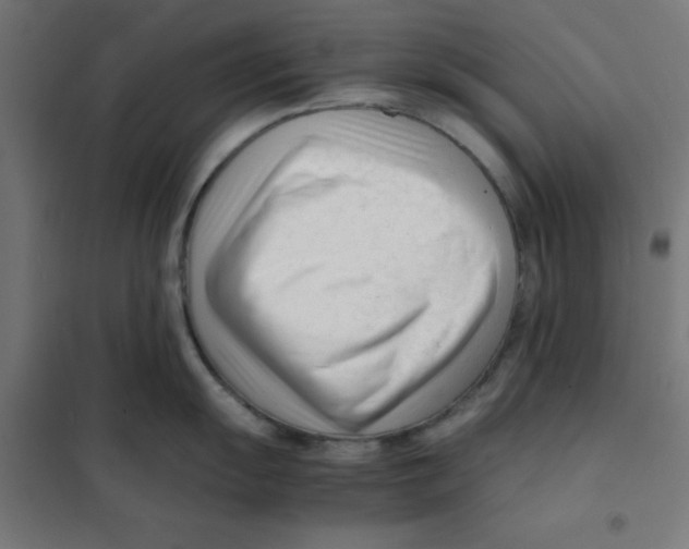 X0000101661055200808071016