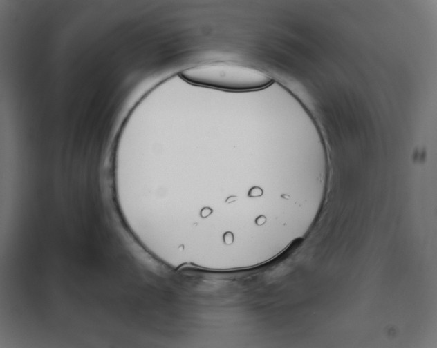 X0000101661056200808071016