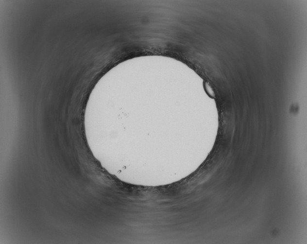 X0000101661057200808071016
