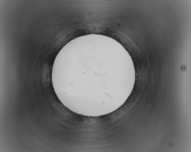 X0000101661058200808071016