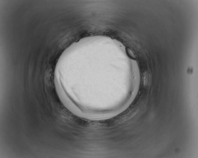 X0000101661059200808071016