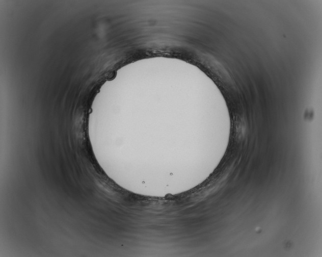 X0000101661060200808071016