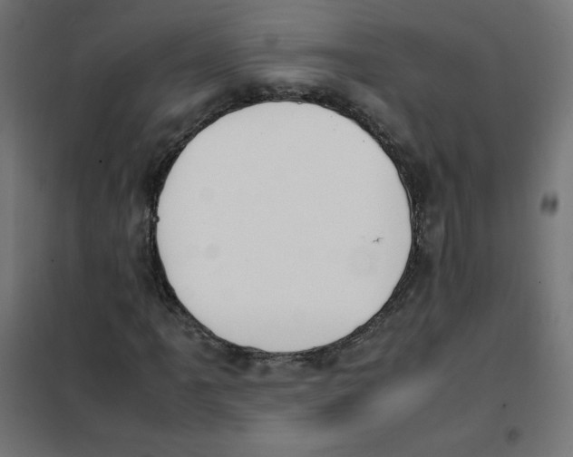 X0000101661061200808071016