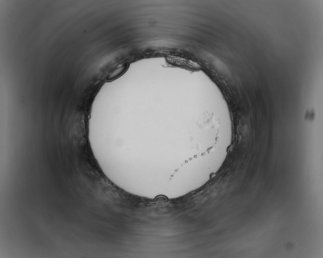 X0000101661062200808071016