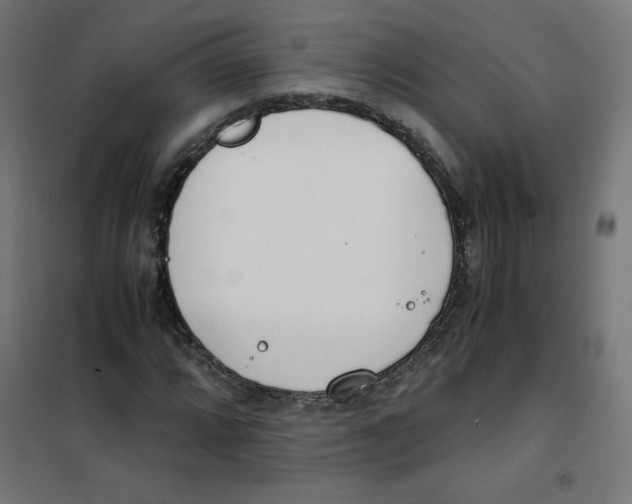 X0000101661064200808071016