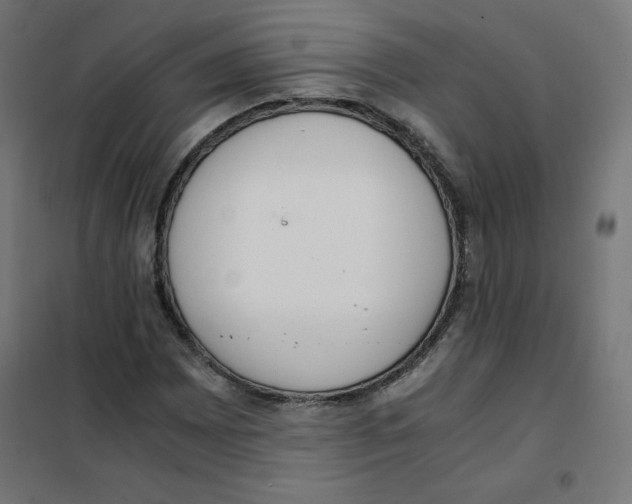 X0000101661065200808071016
