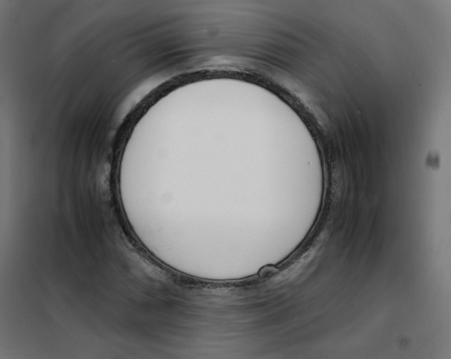 X0000101661066200808071016