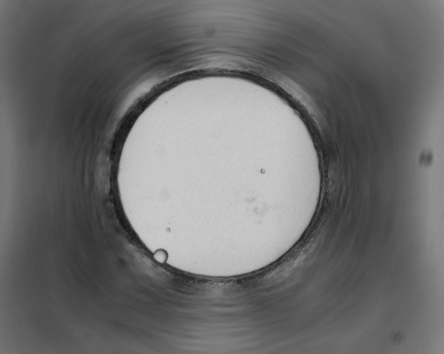 X0000101661067200808071016