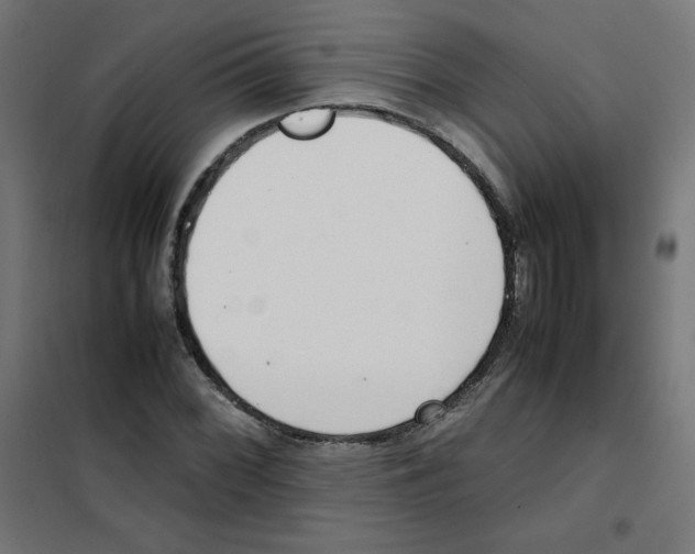 X0000101661068200808071016