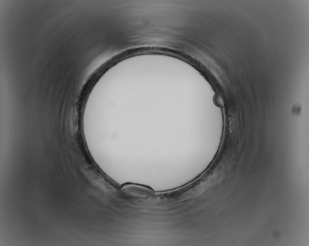 X0000101661069200808071016