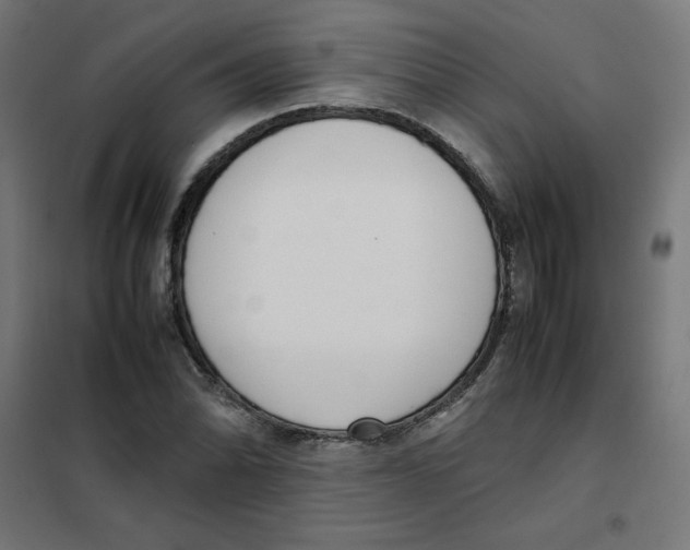 X0000101661070200808071016