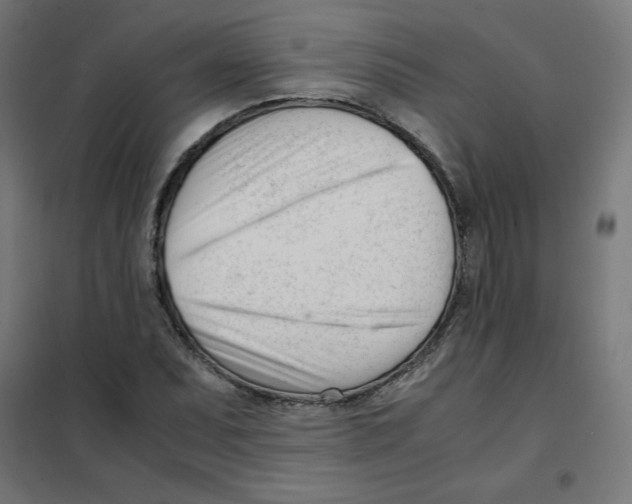 X0000101661071200808071016