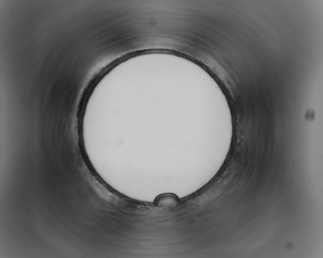 X0000101661072200808071016