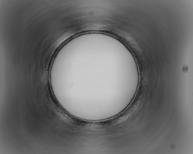 X0000101661073200808071016