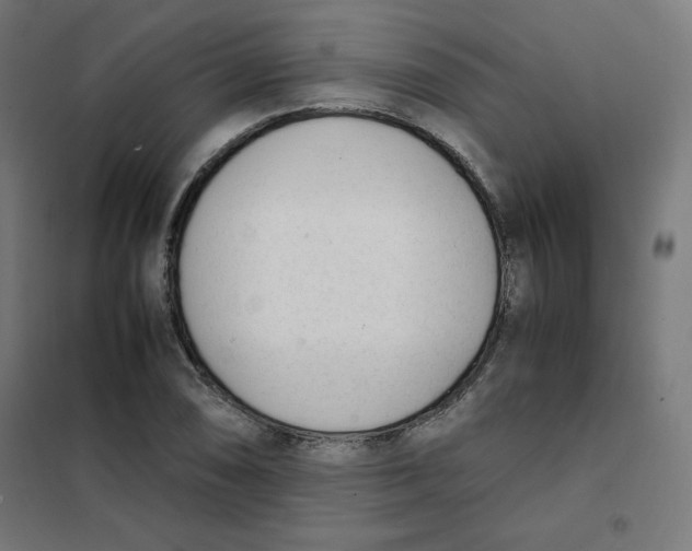X0000101661074200808071016