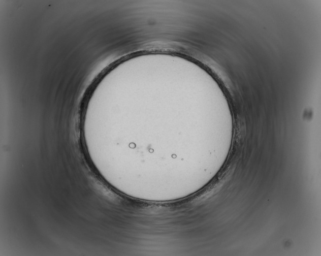 X0000101661075200808071016