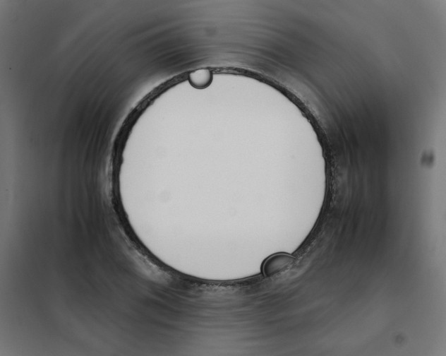 X0000101661076200808071015