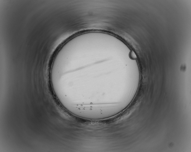 X0000101661077200808071015