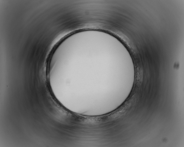 X0000101661078200808071015