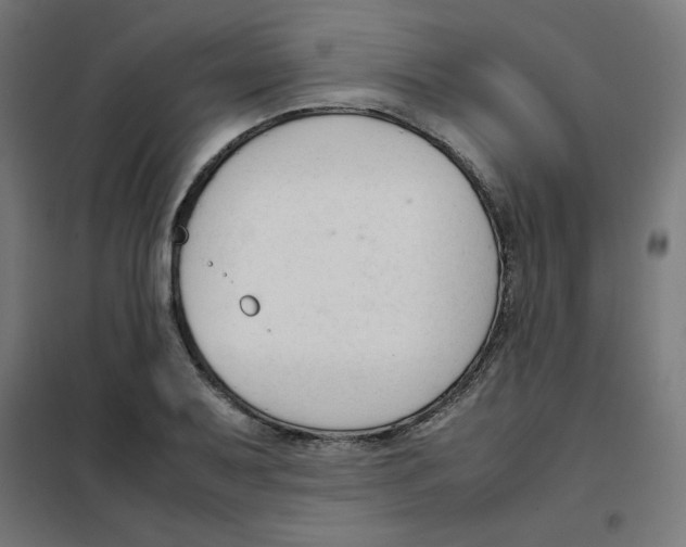 X0000101661079200808071015