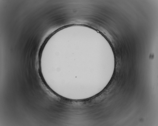 X0000101661080200808071015