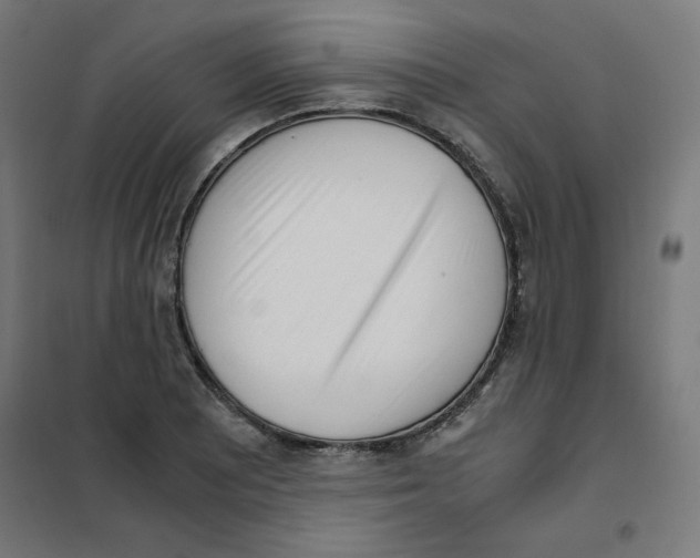 X0000101661081200808071015