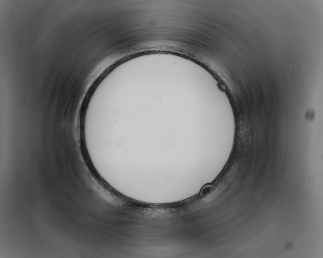 X0000101661082200808071015