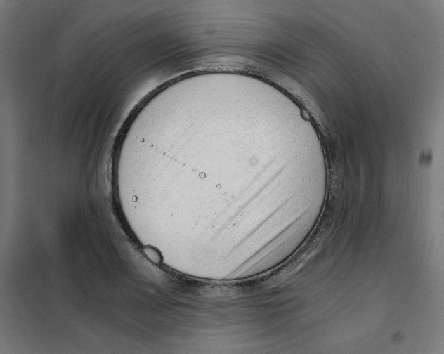 X0000101661083200808071015