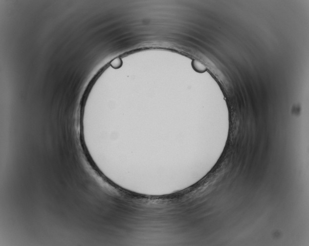 X0000101661084200808071015