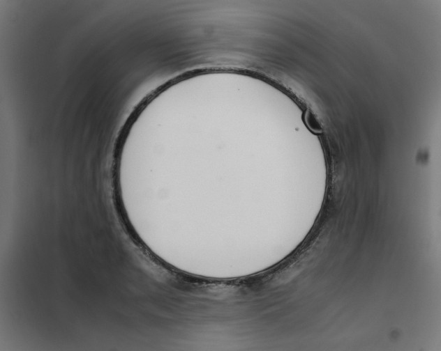 X0000101661085200808071015