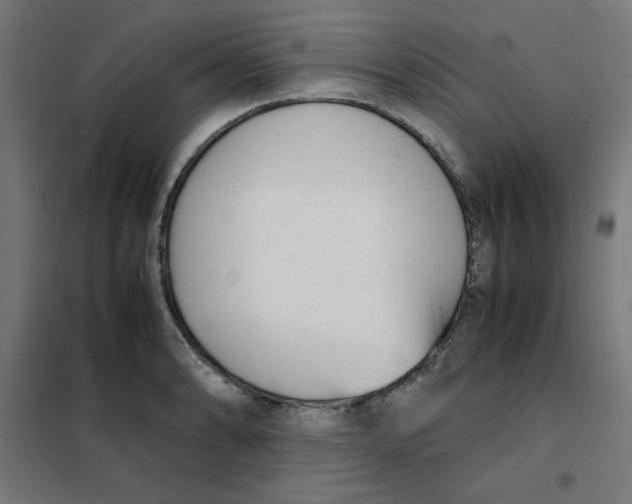 X0000101661086200808071015